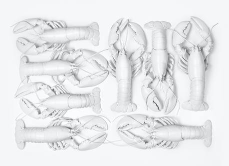 Clara Hallencreutz, No Artificial Lobsters (White)