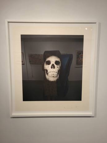Damien Hirst, Memento #8