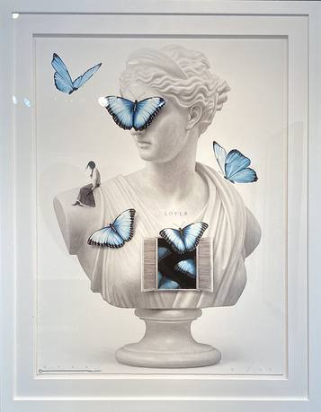 Kozo, Butterfly Venus