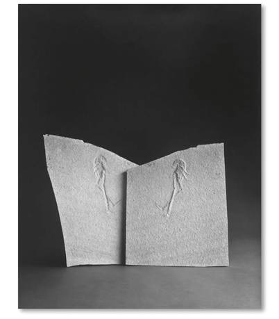 Hiroshi Sugimoto