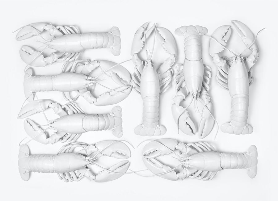 Clara Hallencreutz, No Artificial Lobsters (White)