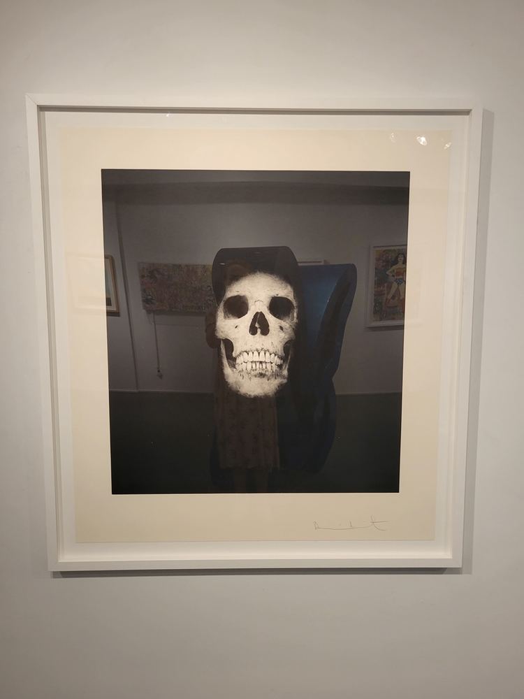 Damien Hirst, Memento #8
