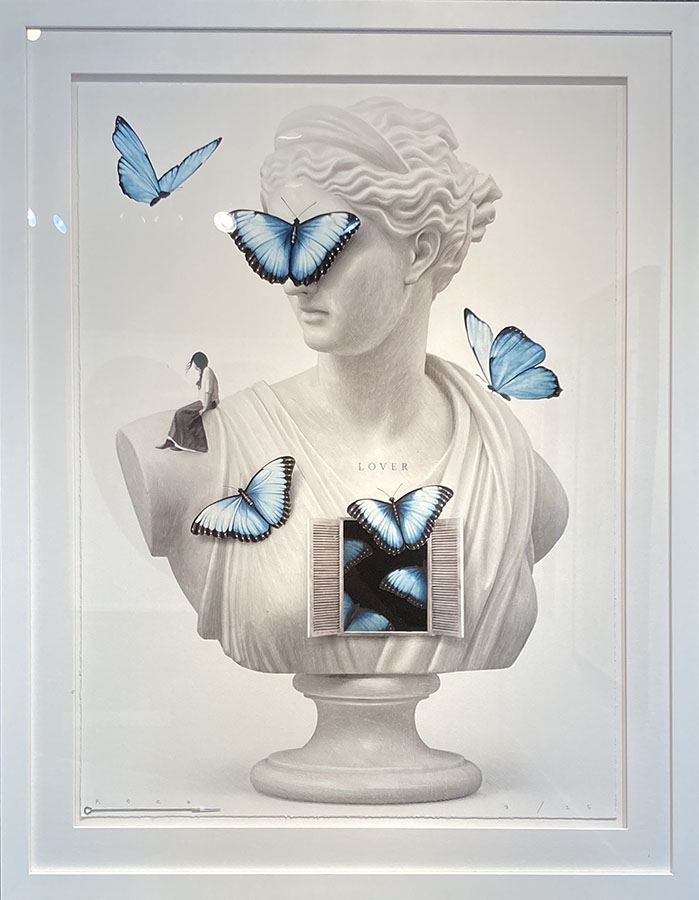 Kozo, Butterfly Venus