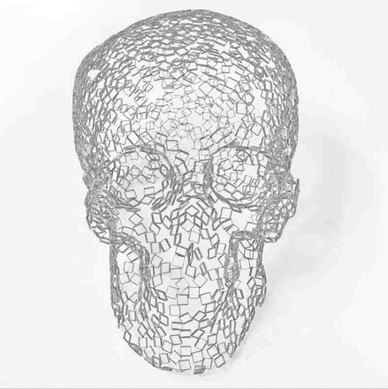 Rainer Lagemann, Skull (large)