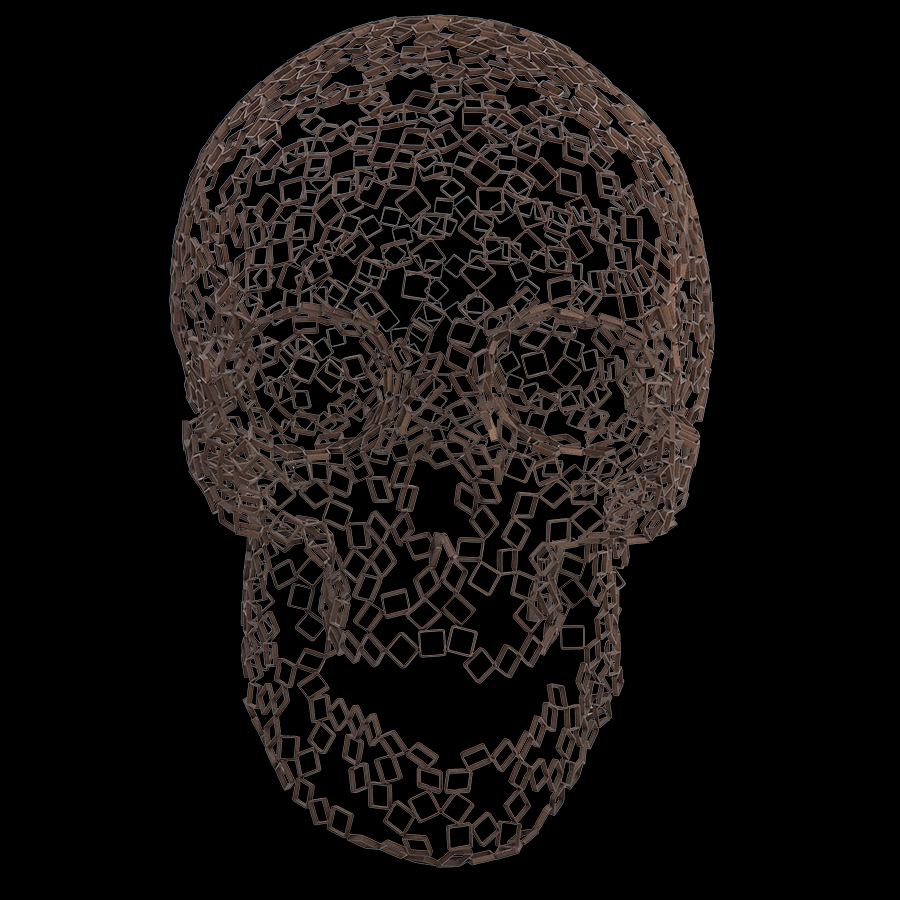 Rainer Lagemann, Skull (large)